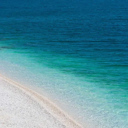 25 * Rabac