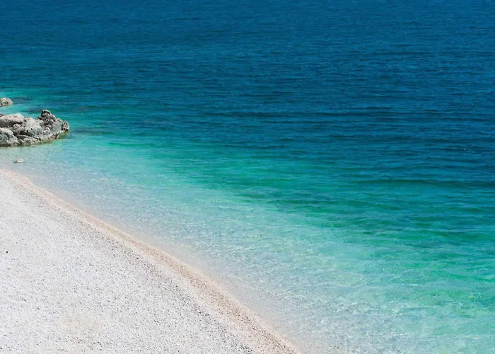 25 * Rabac